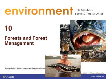 © 2010 Pearson Education Canada 10 Forests and Forest Management PowerPoint ® Slides prepared Stephen Turnbull Copyright © 2013 Pearson Canada Inc. 10-1.