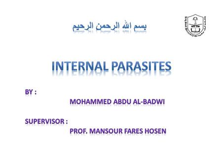 By : Mohammed Abdu Al-badwi Supervisor : Prof. mansour fares hosen