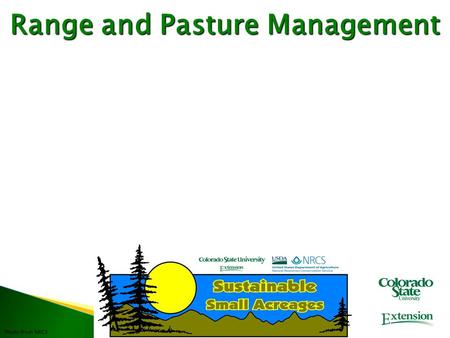 Photo from NRCS Range and Pasture Management.  Benefits of grazing management  How grass grows  Steps to effective grazing management  Estimating.