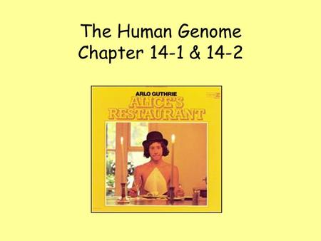The Human Genome Chapter 14-1 & 14-2