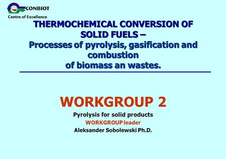 Centre of Excellence THERMOCHEMICAL CONVERSION OF SOLID FUELS – Processes of pyrolysis, gasification and combustion of biomass an wastes. WORKGROUP 2 Pyrolysis.