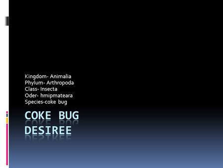 Kingdom- Animalia Phylum- Arthropoda Class- Insecta Oder- hmipmateara Species-coke bug.