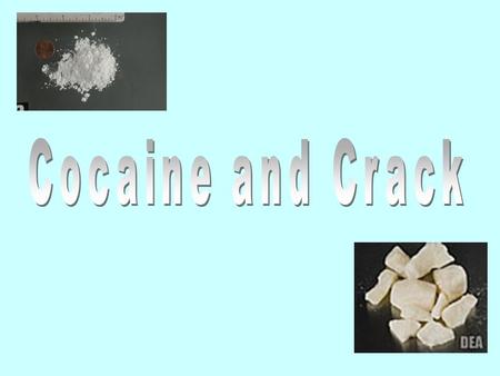 What is Cocaine? Cocaine is a strong, highly addictive Central Nervous System stimulant that interferes with the absorption of dopamine, the brain chemical.