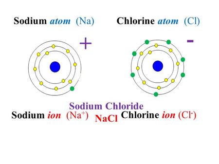 - + Sodium atom (Na) Chlorine atom (Cl) Sodium Chloride NaCl