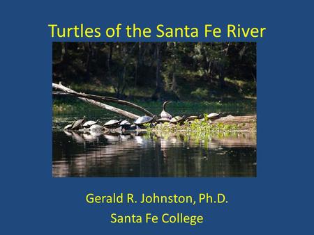 Turtles of the Santa Fe River Gerald R. Johnston, Ph.D. Santa Fe College.
