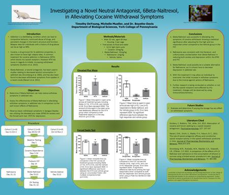 Investigating a Novel Neutral Antagonist, 6Beta-Naltrexol, in Alleviating Cocaine Withdrawal Symptoms Timothy DeYoung, Michelle Mueller, and Dr. Boyette-Davis.