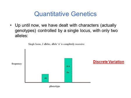Quantitative Genetics Up until now, we have dealt with characters (actually genotypes) controlled by a single locus, with only two alleles: Discrete Variation.