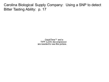 Carolina Biological Supply Company: Using a SNP to detect Bitter Tasting Ability: p. 17.