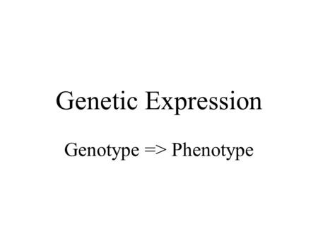 Genetic Expression Genotype => Phenotype. DNA Functions Information Storage –sequence of bases Information Transmission –replication Information Expression.