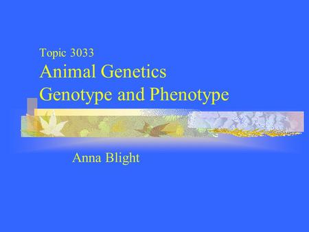 Topic 3033 Animal Genetics Genotype and Phenotype Anna Blight.