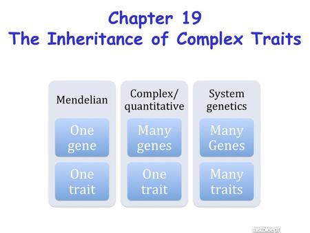 The Inheritance of Complex Traits
