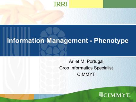 Presentation Title Goes Here …presentation subtitle. Information Management - Phenotype Arllet M. Portugal Crop Informatics Specialist CIMMYT.