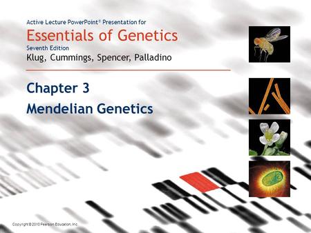 Chapter 3 Mendelian Genetics