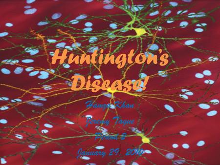 Huntington’s Disease! Hamza Khan Jeremy Tague Period 2 January 29, 2010.