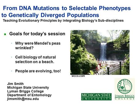 From DNA Mutations to Selectable Phenotypes to Genetically Diverged Populations Jim Smith Michigan State University Lyman Briggs College Department of.