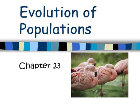 Evolution of Populations Chapter 23. Macroevolution Evolution on a large scale Changes in plants & animals Where new forms replace old Major episodes.