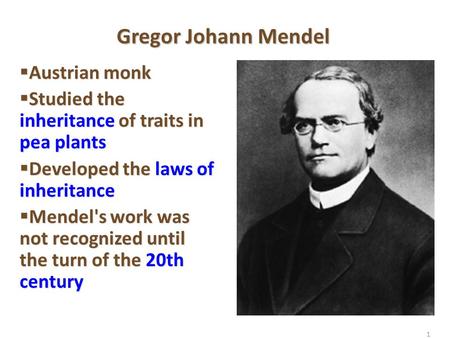 1 Gregor Johann Mendel  Austrian monk  Studied the inheritance of traits in pea plants  Developed the laws of inheritance  Mendel's work was not recognized.