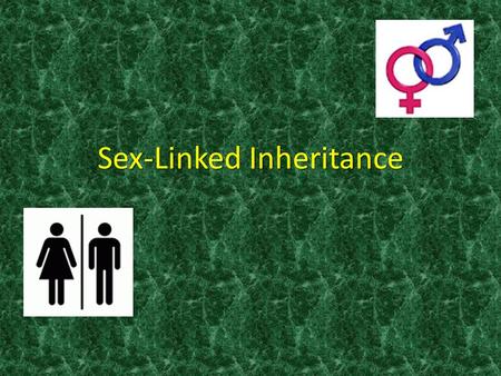 Sex-Linked Inheritance. Certain traits are carried on the ‘X’ chromosome. Certain traits are carried on the ‘X’ chromosome. These traits are recessive.