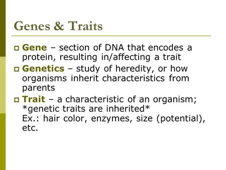 Genes & Traits  Gene – section of DNA that encodes a protein, resulting in/affecting a trait  Genetics – study of heredity, or how organisms inherit.