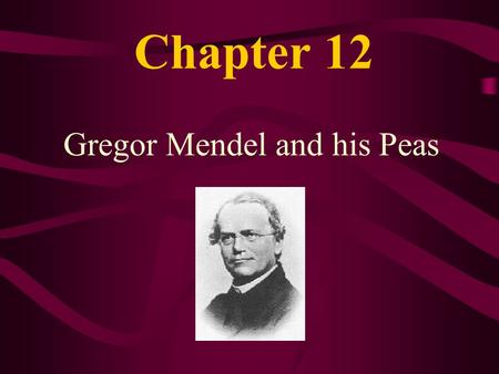 Chapter 12 Gregor Mendel and his Peas. DNA can appear in 2 forms ______________ Spread out when cells are NOT dividing. _________________ Scrunched up.