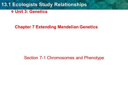 13.1 Ecologists Study Relationships Unit 3: Genetics Chapter 7 Extending Mendelian Genetics Section 7-1 Chromosomes and Phenotype.