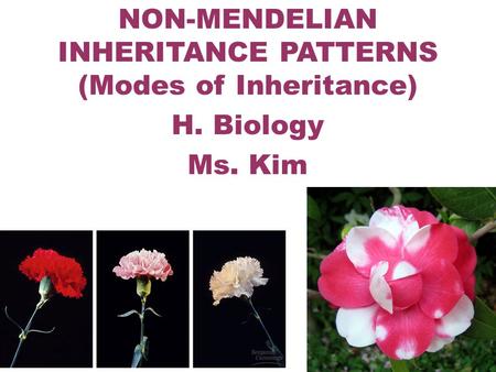 NON-MENDELIAN INHERITANCE PATTERNS (Modes of Inheritance)