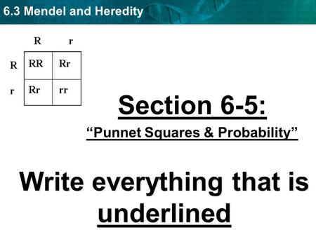 “Punnet Squares & Probability” Write everything that is underlined
