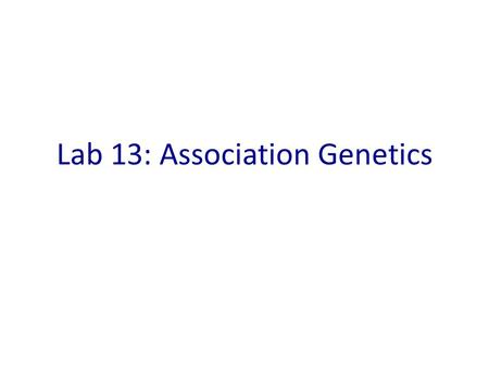 Lab 13: Association Genetics. Goals Use a Mixed Model to determine genetic associations. Understand the effect of population structure and kinship on.