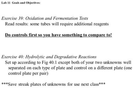 Exercise 39: Oxidation and Fermentation Tests