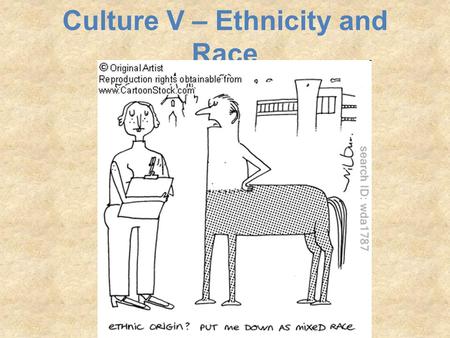 Culture V – Ethnicity and Race