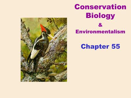 Conservation Biology & Environmentalism Chapter 55.