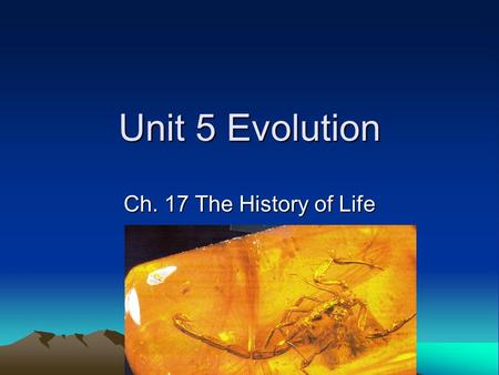Unit 5 Evolution Ch. 17 The History of Life.