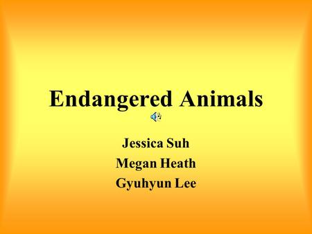 Endangered Animals Jessica Suh Megan Heath Gyuhyun Lee.