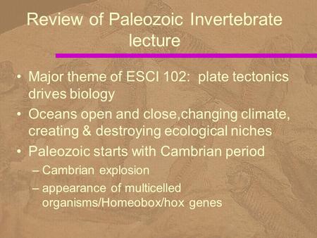 Review of Paleozoic Invertebrate lecture Major theme of ESCI 102: plate tectonics drives biology Oceans open and close,changing climate, creating & destroying.