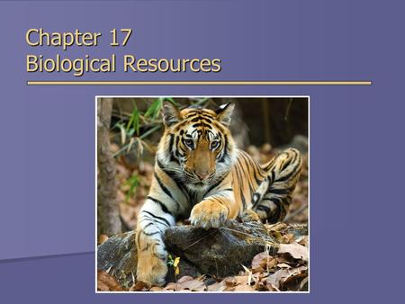 Chapter 17 Biological Resources. Overview of Chapter 17  Biological Diversity  Extinction and Species Endangerment  Endangered and Threatened Species.