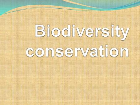 AB Which do you like better? AB What do you think biodiversity means?