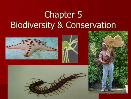Chapter 5 Biodiversity & Conservation. Biodiversity is the variety of life in an area that is determined by the total number of different species. Biodiversity.