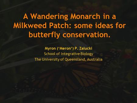 A Wandering Monarch in a Milkweed Patch: some ideas for butterfly conservation. Myron (‘Meron’) P. Zalucki School of Integrative Biology The University.