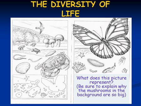 THE DIVERSITY OF LIFE.