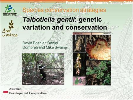 Species conservation strategies Talbotiella gentii: genetic variation and conservation David Boshier, Daniel Dompreh and Mike Swaine.