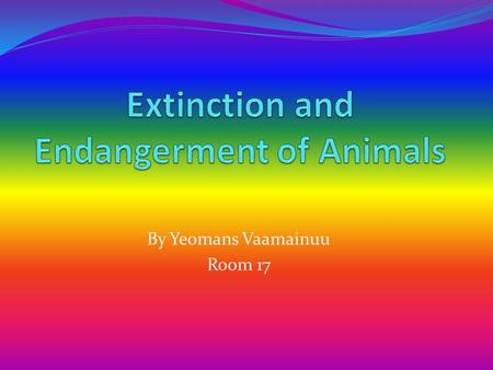 By Yeomans Vaamainuu Room 17. Definition of Extinction Extinction is when an animal species has totally died out and will be gone forever It is said that.