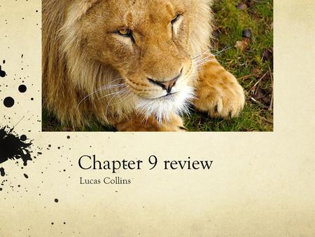 Chapter 9 review Lucas Collins. Section 1 Species are becoming extinct 1,000 times faster than when modern humans first arrived. But by the end of the.