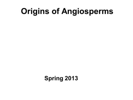 Origins of Angiosperms Spring 2013. Outline Origin of the angiosperms Characters of angiosperms Brief history of angiosperm classification Major groups.