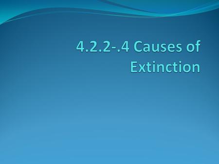 EXTINCT is FOREVER!! Non-human causes of extinction: Volcanic events Ocean temperature change Sea level changes Meteorites Glaciations Global climate.
