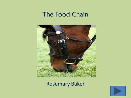 The Food Chain Rosemary Baker. Content Area: Science Grade Level: Third Summary: The purpose of this instructional PowerPoint is for the students to understand.