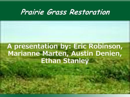 Prairie Grass Restoration A presentation by: Eric Robinson, Marianne Marten, Austin Denien, Ethan Stanley.