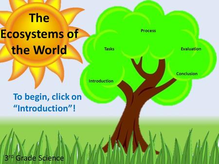The Ecosystems of the World