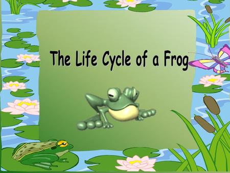 The Life Cycle of a Frog.
