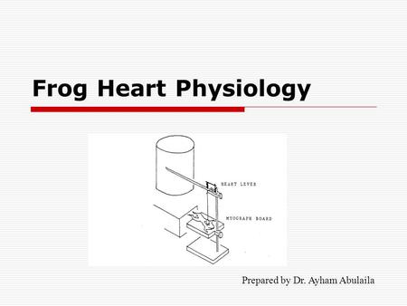 Frog Heart Physiology Prepared by Dr. Ayham Abulaila.