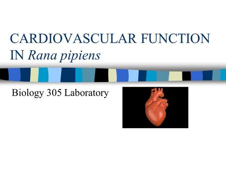 CARDIOVASCULAR FUNCTION IN Rana pipiens Biology 305 Laboratory.